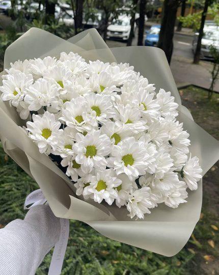 Хризантемы белые